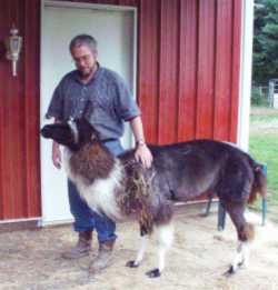 lewis_08_19_fred_250_web.jpg