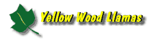 logo_web_small.gif